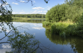 Bruneiteich bei Altmanns, © Matthias Schickhofer