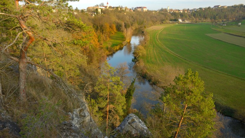 Blick auf einen Fluss, umgeben von Bäumen und Feldern, mit einer Stadt im Hintergrund.