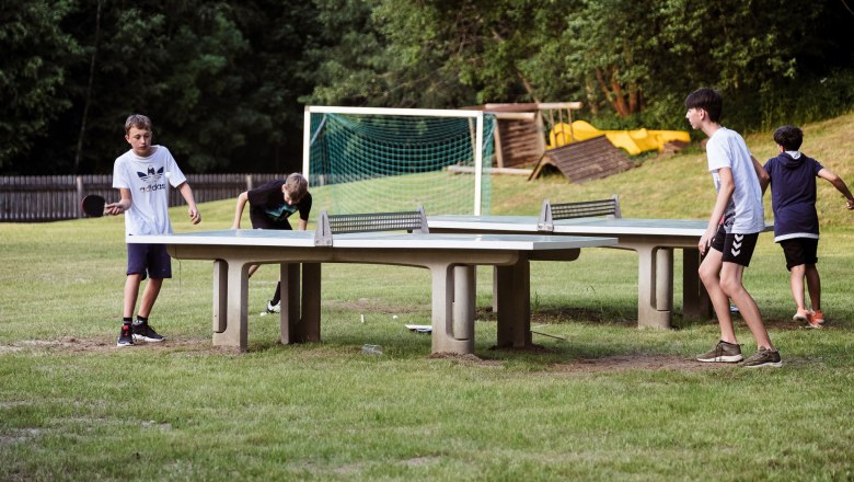 Tischtennis-Spiel, © iQ Foto, Thomas Leibetseder