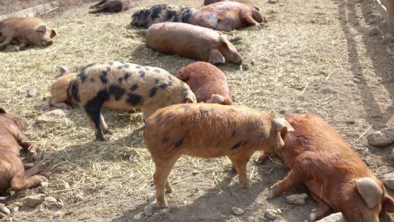 Binder Bio, © Binder Bio