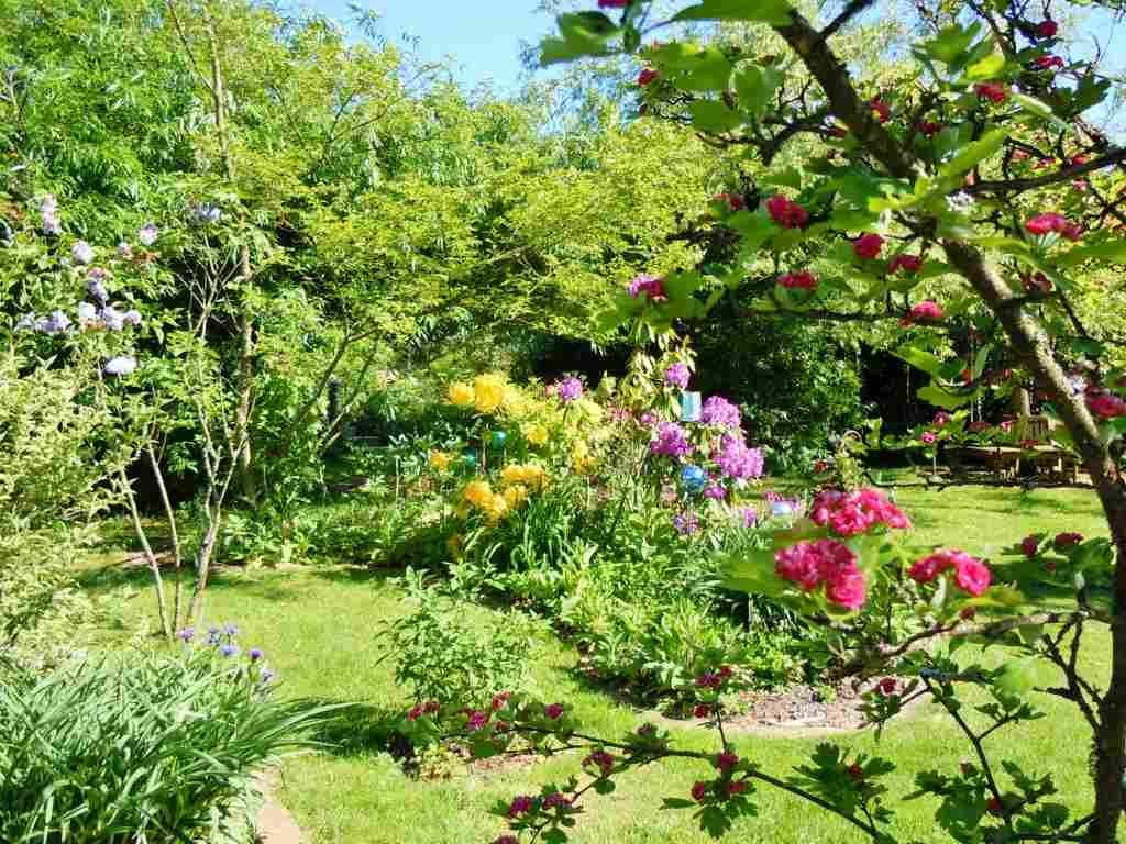 Ein blühender Garten mit bunten Blumen und grünen Bäumen im Sommer.