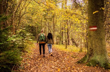 Herbst, © Waldviertel Tourismus, Robert Herbst