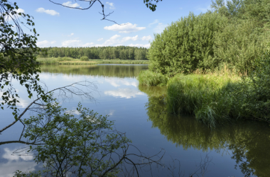 Bruneiteich bei Altmanns, © Matthias Schickhofer