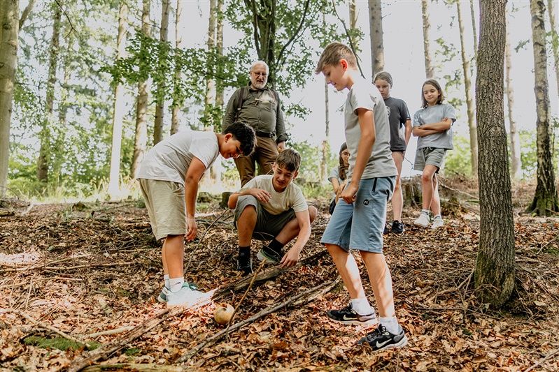 Kinder und ein Erwachsener im Wald, die etwas auf dem Boden untersuchen.
