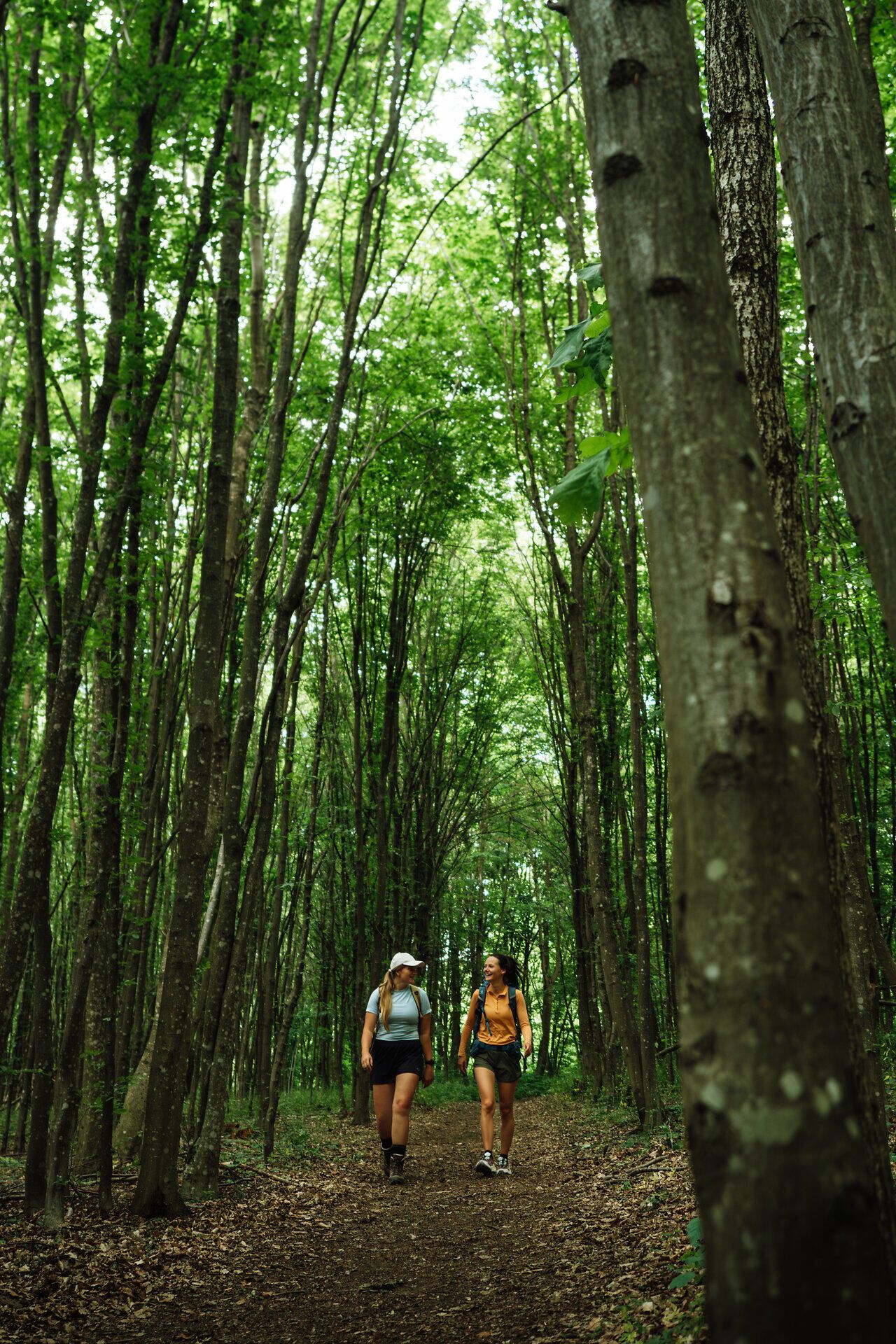 Zwei Frauen wandern durch den Nationalpark Thayatal umgeben von vielen Bäumen