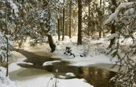 Angeln am Wachtelhof, © Astrid Hanke-Aberer