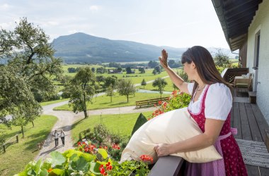 Regionspartner Landesausstellung 2017, © Waldviertel Tourismus, Studio Kerschbaum