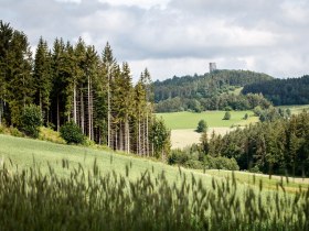 Umgeben von &uuml;ppigen W&auml;ldern und sanften H&uuml;geln entfaltet sich eine malerische Landschaft, die zum Mountainbiken einl&auml;dt. Die Ruine Arbesbach thront majest&auml;tisch auf einem H&uuml;gel und bietet einen atemberaubenden Blick auf die idyllische Umgebung. Hier erleben Besucher die perfekte Kombination aus Natur und Geschichte.
