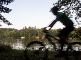 MTB Waldviertel, &copy; &copy; Waldviertel Tourismus, Erwin Haiden, nyx.at