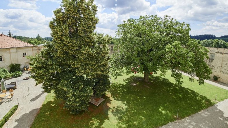 blick_auf_klosterhof_c_schewig_dieter, © Schewig Dieter