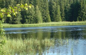 Stierhübelteich, © Manfred Grill