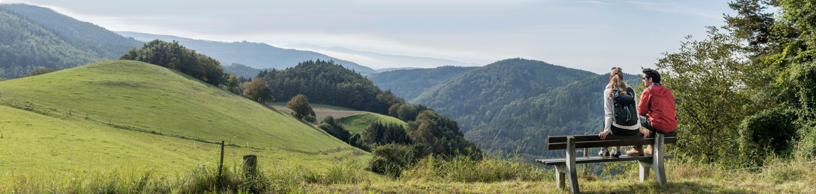 Blick ins Weitental, © Waldviertel Tourismus, Studio Kerschbaum