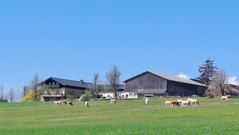 BioHof Stieger, © BioHof Stieger