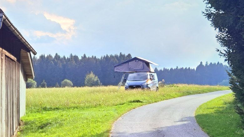 Pitch, © Thomas Starkl