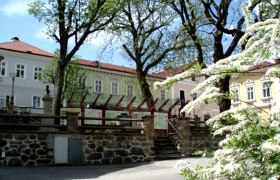 Historische Gebäude und blühende Bäume in Langschlag.