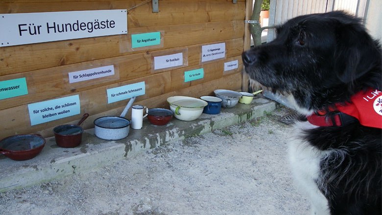 Jausenstation für Hundegäste, © VIER PFOTEN, Mairhofer