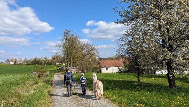 Wandern in Harth, © Michael Berner