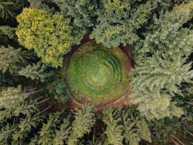 Drohnenaufnahme eines kreisf&ouml;rmig angelegten, begr&uuml;nten Felsens im Wald; der Kierlingstein liegt eingebettet in dichten Nadel- und Mischwald in der Kraftarena Gro&szlig; Gerungs.