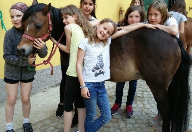 Pony-Kuscheln, © Franz Inghofer