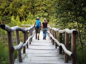 Naturpark Heidenreichsteiner Moor, Wandern, &copy; Waldviertel Tourismus, weinfranz