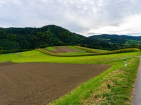 Felder mit Mandlgupf am Rückweg nach Pöggstall, © Gottfried Grossinger