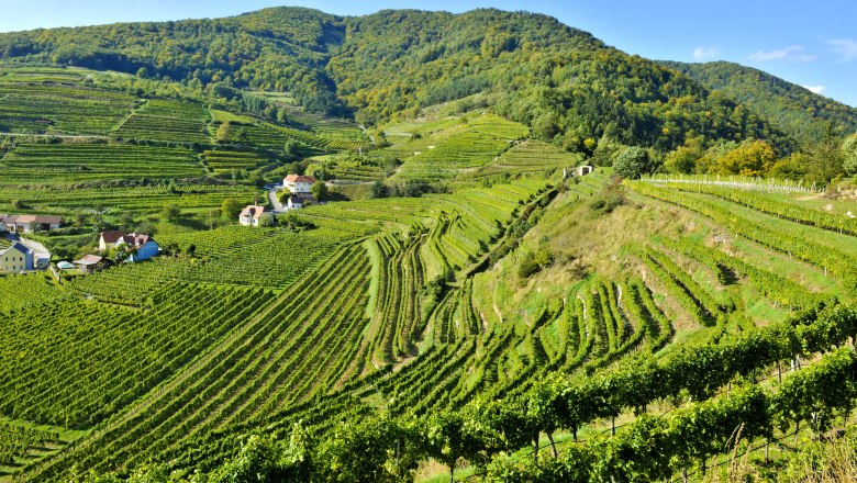 Naturpark Jauerling-Wachau, © Naturparke Niederösterreich/Robert Herbst