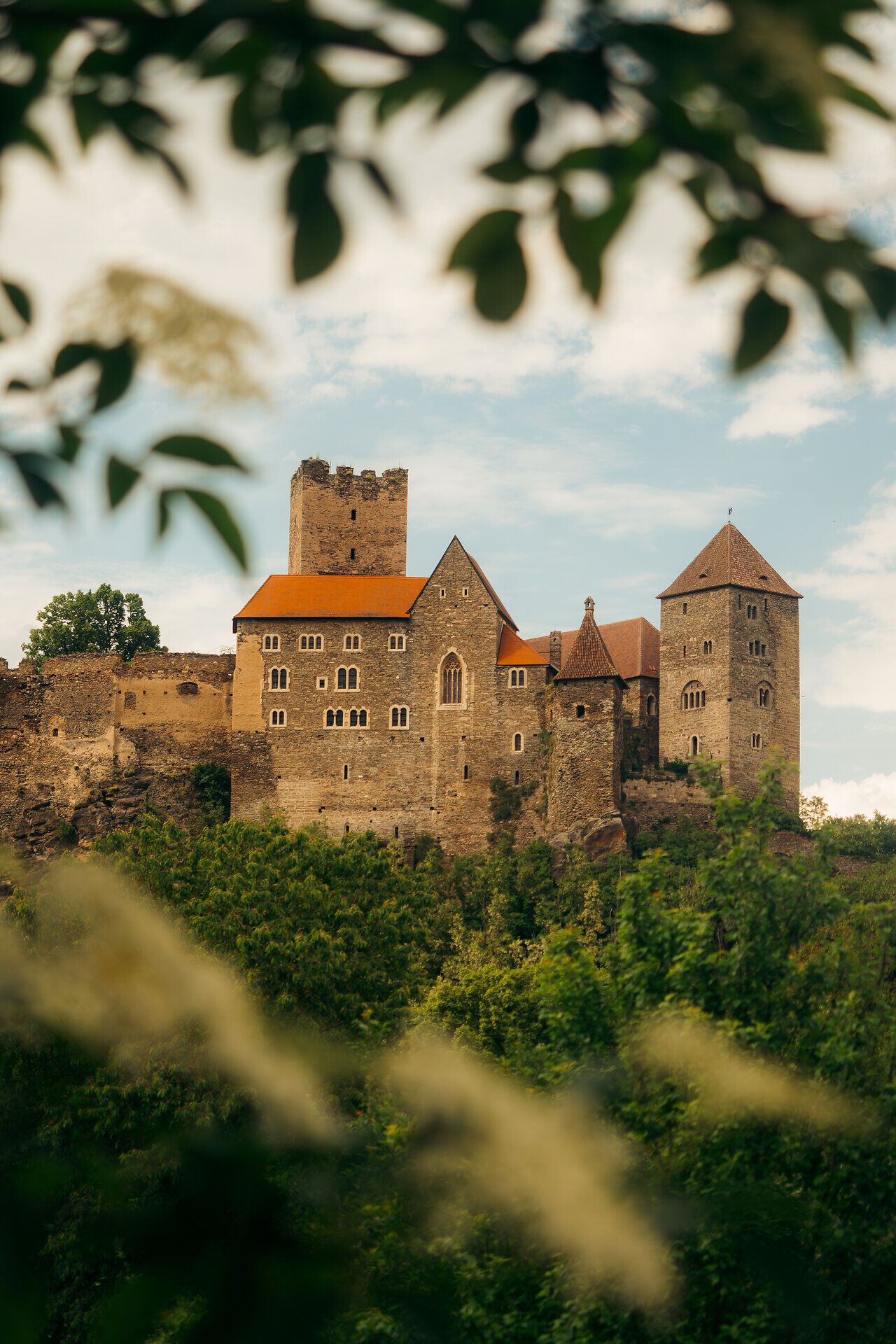 Burg Hardegg geframed mit Blättern