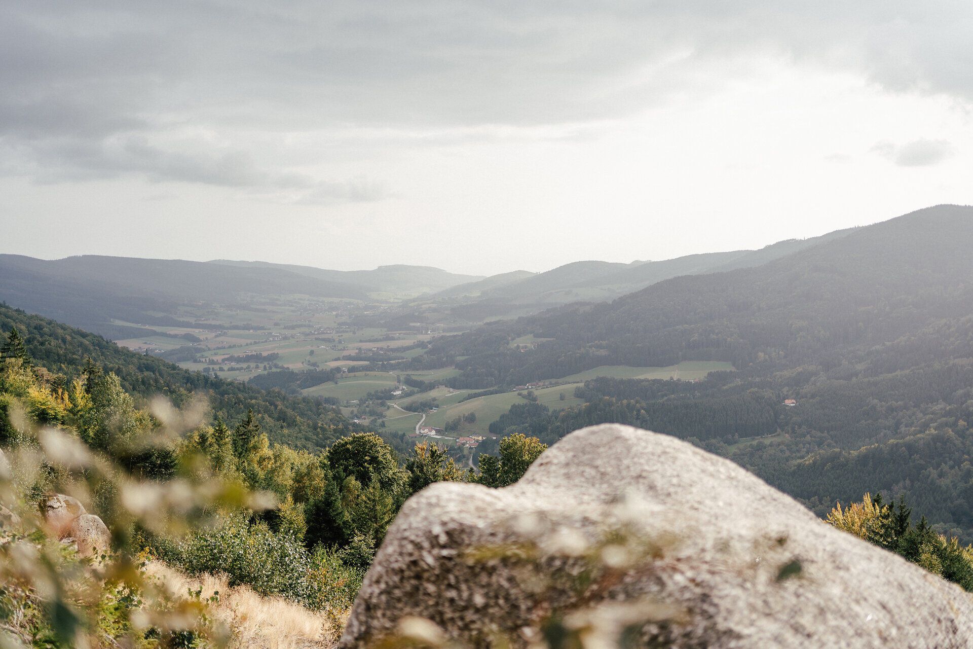Die sanften Hügel und das üppige Grün des Yspertals laden zu unvergesslichen Wanderabenteuern ein. Hier, wo die Natur in voller Pracht erblüht, können Besucher die Ruhe und Schönheit der Landschaft genießen, während sie den Druidenweg erkunden.