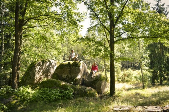 Erholungs- und Regnerationsraum Wald, © Waldviertel Tourismus, Robert Herbst