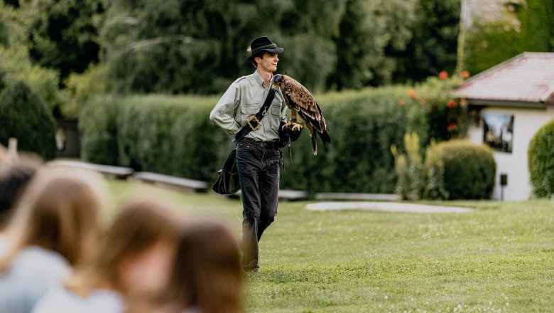 Ein Falkner mit einem Greifvogel auf dem Arm steht auf einer Wiese vor einer Gruppe von Zuschauern.