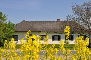 Ein Gebäude mit der Aufschrift 'Mayer-Hörmann' hinter gelben Blumen.
