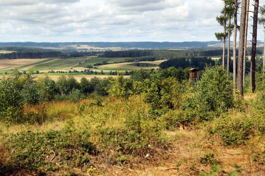 Naturparke, © Waldviertel Tourismus, weinfranz