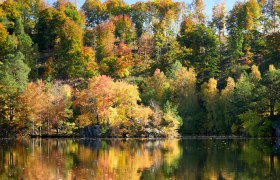 autumn, © Peter Podpera