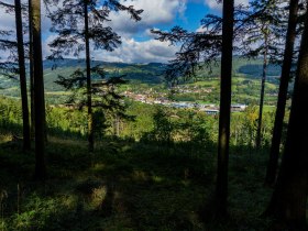Im Wald - Blick auf Würnsdorf, © Gottfried Grossinger