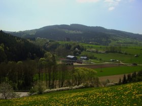 Blick zur St. Anna Kirche, © Gottfried Grossinger