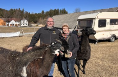 Lamas; Rudolf und Sabine, © Rudolf Bauer, MBA