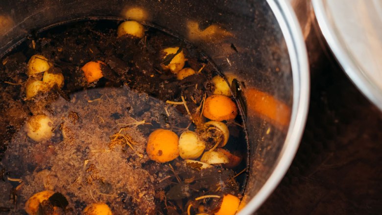 Topf mit Kriecherln und Bl&auml;ttern in Fl&uuml;ssigkeit.