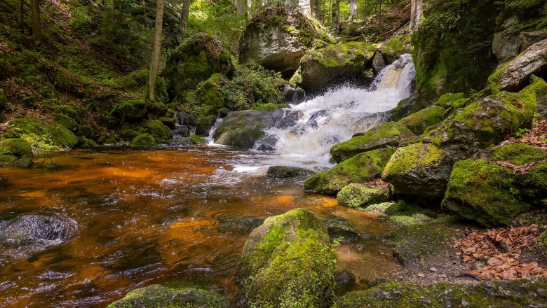 Ein kleiner Wasserfall in einem moosbedeckten Wald mit klarem Wasser und grüner Vegetation.