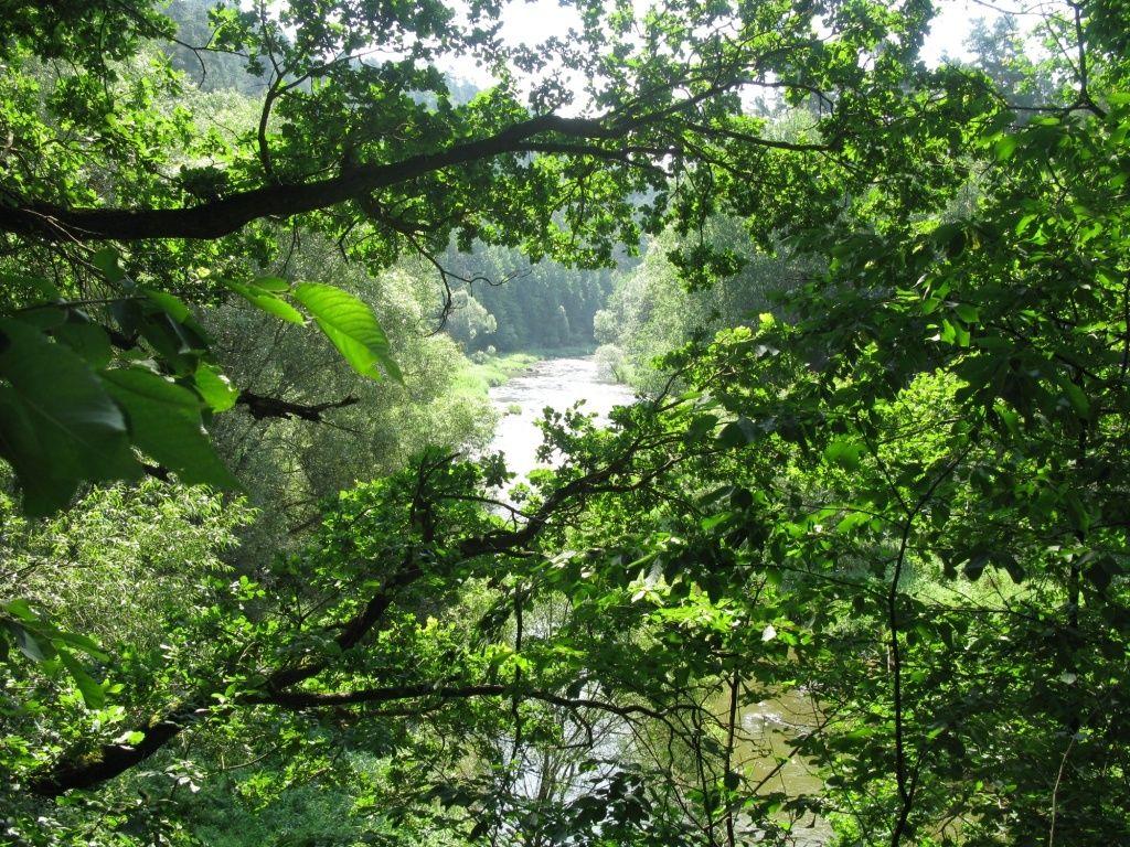 Romantik - Weg