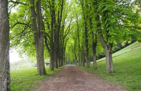 Natur-Erlebnis-Wanderung, © Elfi Lumesberger