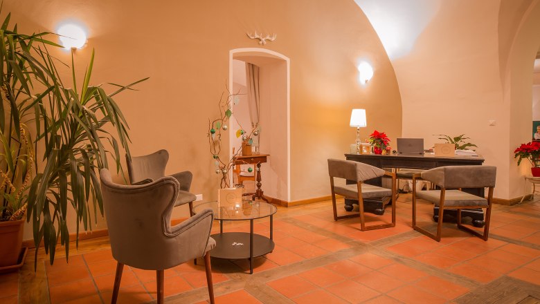 Gemütlicher Eingangsbereich mit Sesseln, Tisch und Pflanzen.